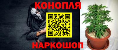 apvp Краснодар