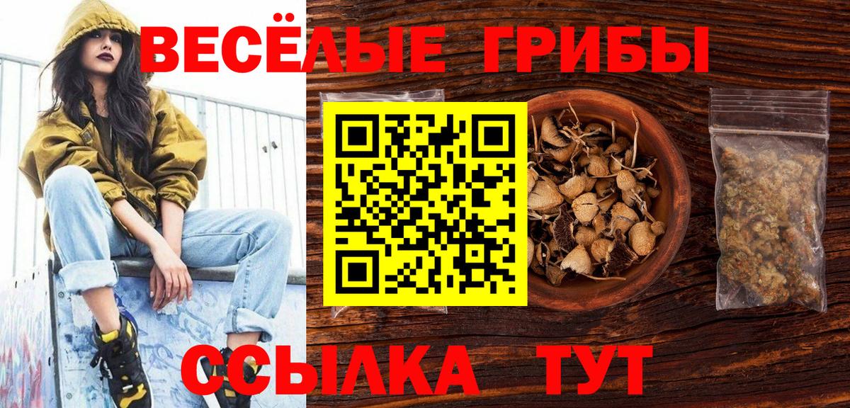 Якутск  Галлюциногенные грибы ЛСД  Вход с VPN 